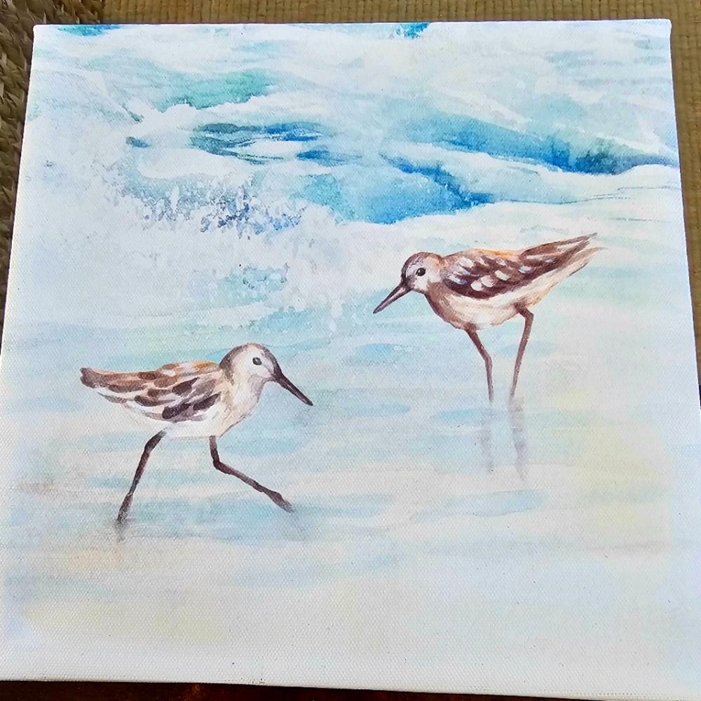 Canvas print seagulls
